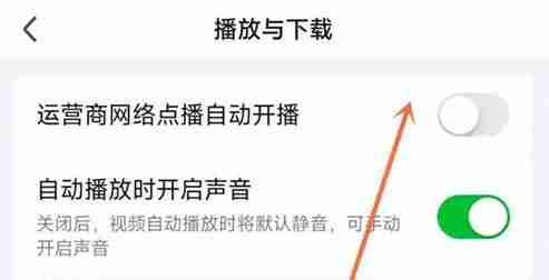 爱奇艺怎么关闭流量播放 爱奇艺关闭流量播放方法