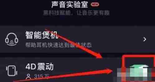 QQ音乐4D震动在哪里开启 QQ音乐4D震动开启方法