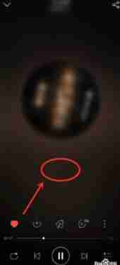 网易云音乐怎么看一首歌听了几遍 网易云音乐看一首歌听了几遍方法