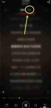 网易云音乐怎么看一首歌听了几遍 网易云音乐看一首歌听了几遍方法