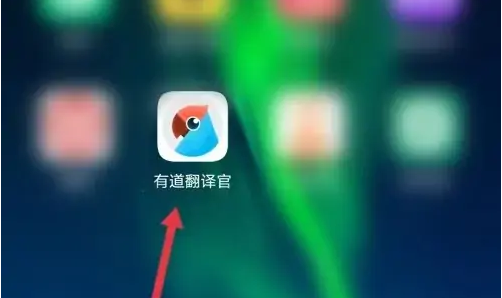 有道英语翻译官怎么换声音 有道翻译官更换对话发音模式方法