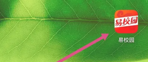 易校园交易记录在哪看 易校园查看交易记录方法一览