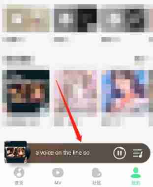 QQ音乐如何打开臻品音质2.0 QQ音乐打开臻品音质2.0教程