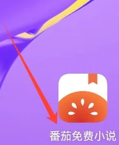 番茄小说uid在什么地方查看-番茄小说uid查看方法  第1张