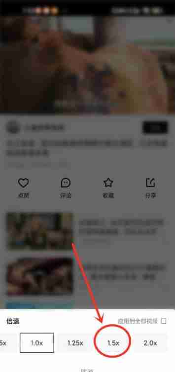 青桃倍速播放如何开启 青桃倍速播放开启方法介绍