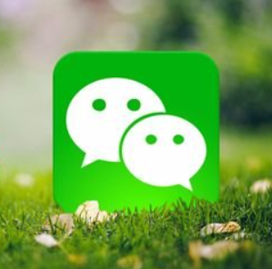 微信切换账号如何操作 微信切换账号教程分享