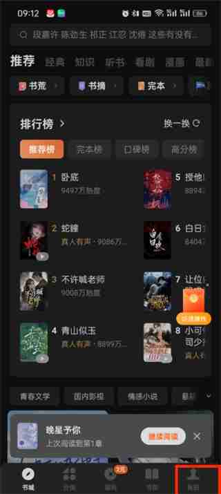 番茄小说怎么自动播放下一集 番茄小说设置自动播放下一集教程介绍