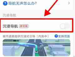 高德地图如何设置沉浸导航 高德地图设置沉浸导航操作方法