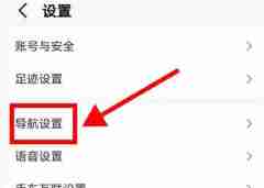 高德地图如何设置沉浸导航 高德地图设置沉浸导航操作方法