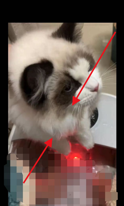 微信怎么缩放视频画面 微信缩放视频大小方法一览