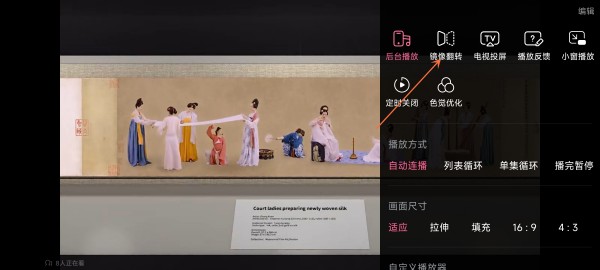 哔哩哔哩镜像翻转在哪开 B站设置镜像翻转开启方法一览