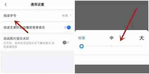 美篇怎么调节字体大小 美篇设置阅读字号教程一览