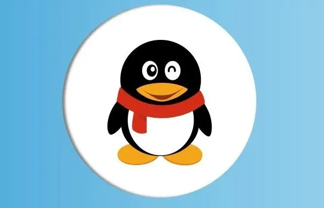 QQ个人隐私信息清单在哪看 QQ个人清单查看方法介绍