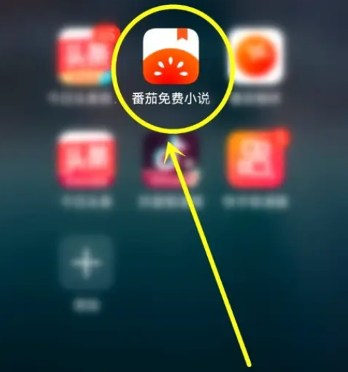 番茄小说签到提醒怎么关 番茄小说关闭签到提醒步骤一览