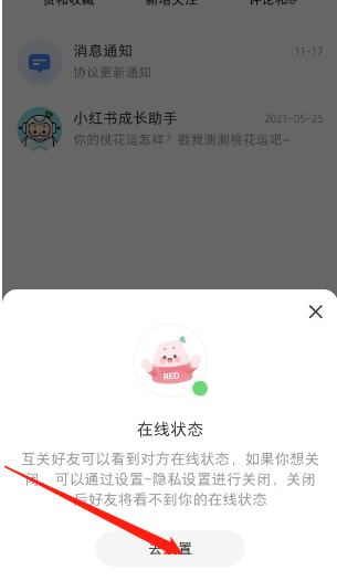 小红书个人在线状态如何关闭 小红书个人在线状态关闭步骤一览
