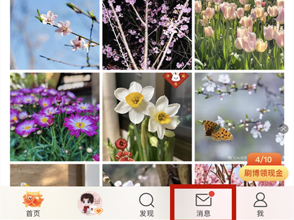 微博群签到在哪儿签到 微博群内签到操作方法分享