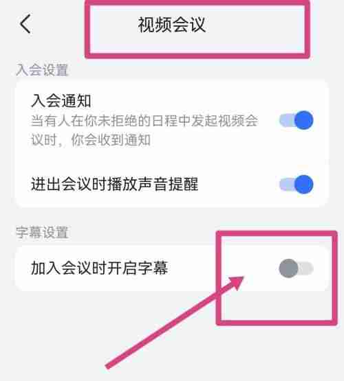 飞书如何打开视频会议字幕 飞书开启视频会议字幕方法介绍