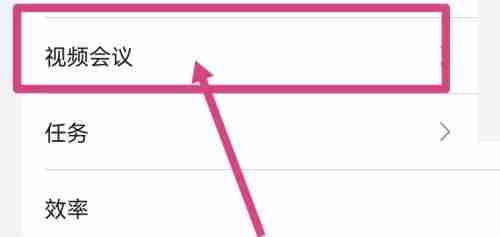 飞书如何打开视频会议字幕 飞书开启视频会议字幕方法介绍