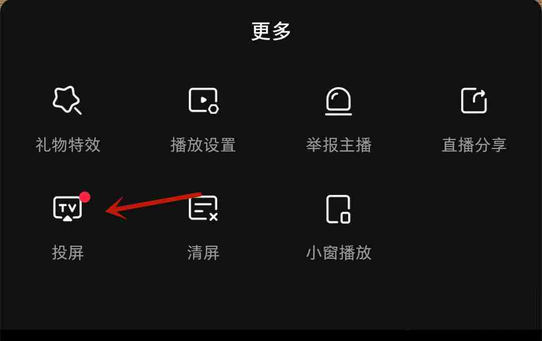 小红书直播如何投屏 小红书直播投屏步骤介绍
