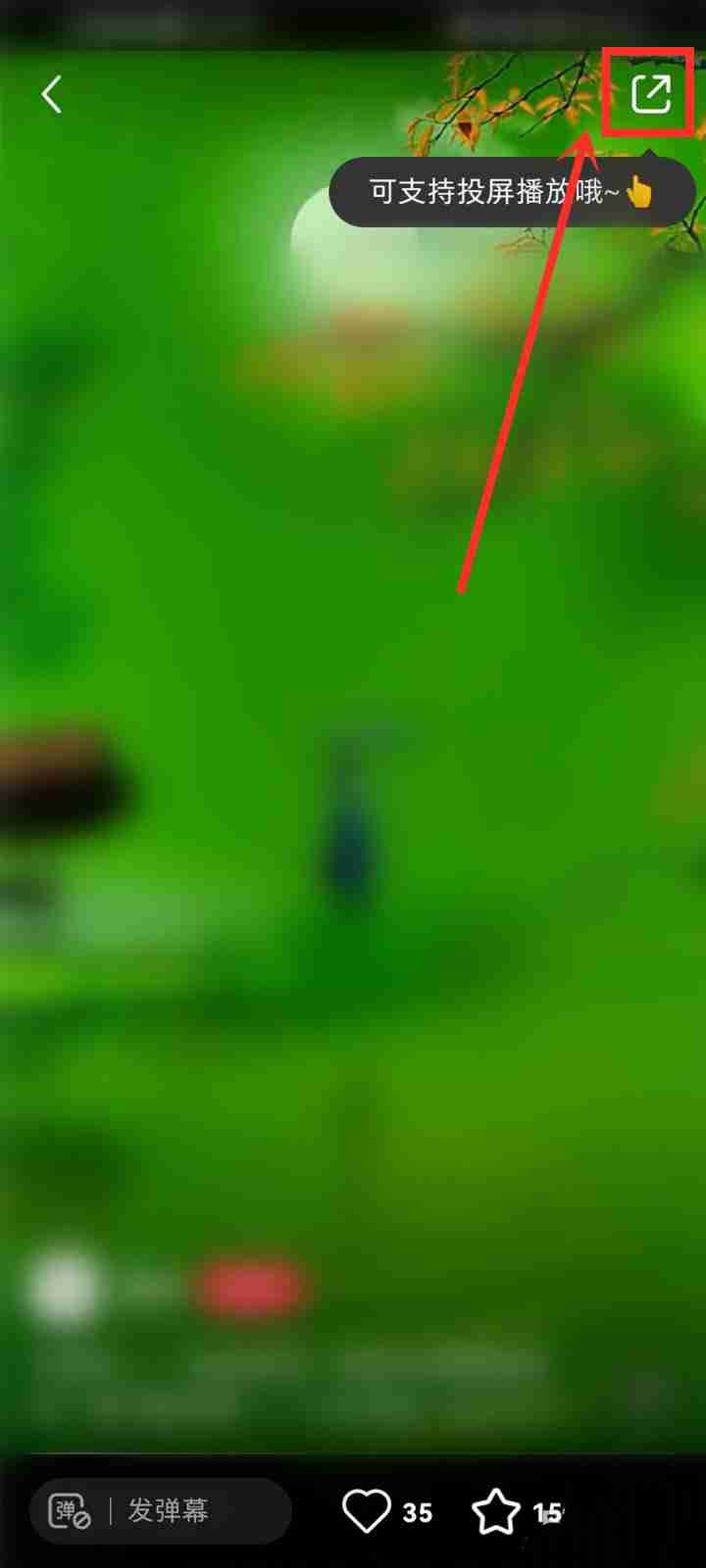 小红书直播如何投屏 小红书直播投屏步骤介绍