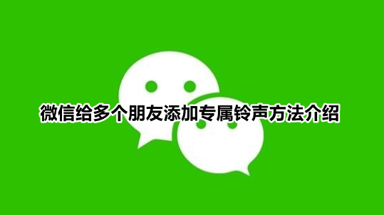 微信怎么设置不同好友专属铃声 微信给多个朋友添加专属铃声方法介绍