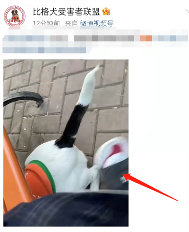 微博稍后观看入口在哪 微博稍后观看方法介绍