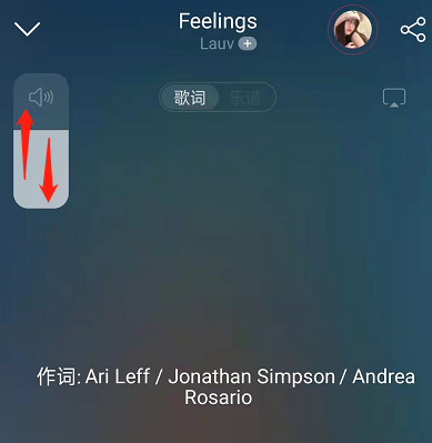 网易云音乐怎么调节歌曲音量大小 网易云音乐设置播放音量方法介绍