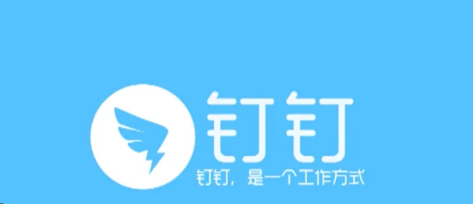 钉钉会议在哪设置文字翻译 钉钉会议开启智能翻译教程分享