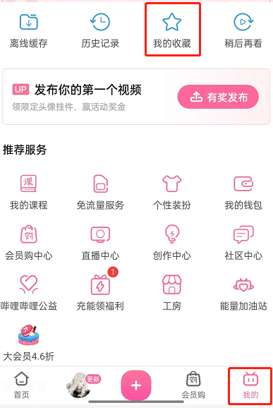 哔哩哔哩订阅合集在哪 哔哩哔哩查找收藏合集教程一览