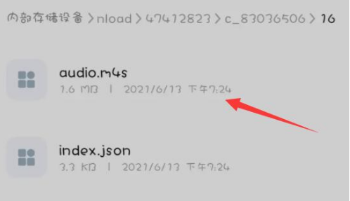 哔哩哔哩如何提取缓存视频音频 B站提取缓存视频音频步骤分享