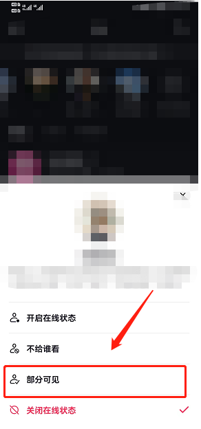 抖音在线状态部分可见怎么设置 抖音在线状态自定义可见范围方法分享