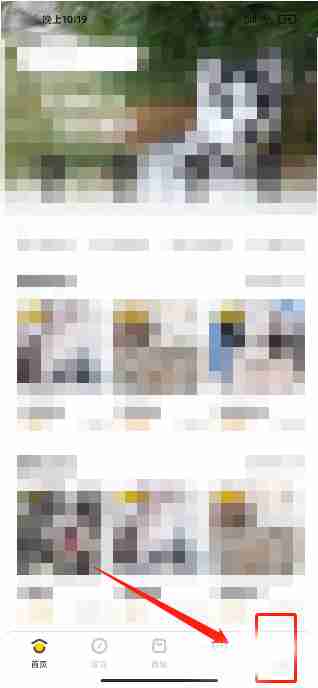 买只宠物怎样添加个人收货地址 买只宠物录入收货信息流程分享