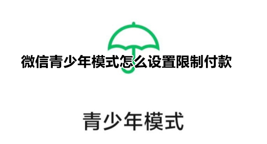 微信青少年模式怎么设置限制付款 微信支付给孩子设置支付限额方法分享
