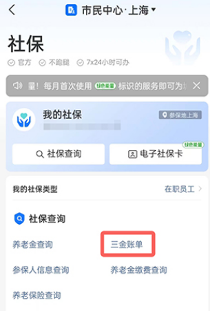 支付宝怎么查询养老金缴费记录 支付宝查询养老金缴费记录操作一览