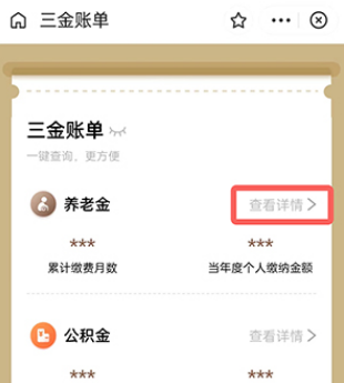 支付宝怎么查询养老金缴费记录 支付宝查询养老金缴费记录操作一览