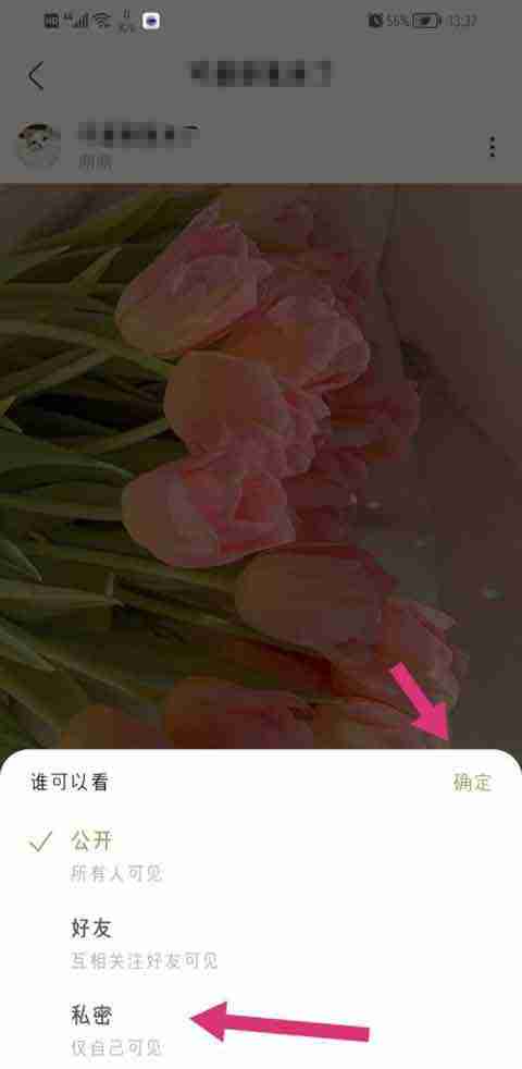 绿洲app发布动态如何设置私密 绿洲私密动态设置步骤一览