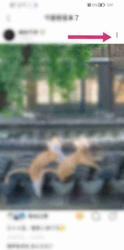 绿洲收藏作品怎么取消 绿洲app取消收藏作品详细步骤