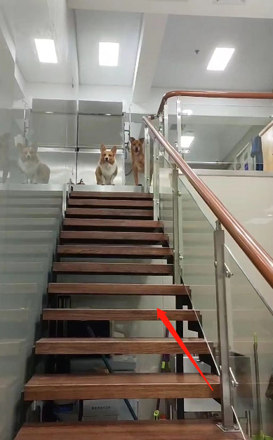 1662712773591699.png image.png