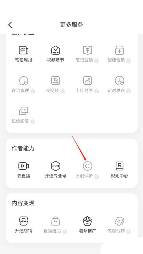 小红书app如何申请原创保护 小红书原创保护申请流程一览