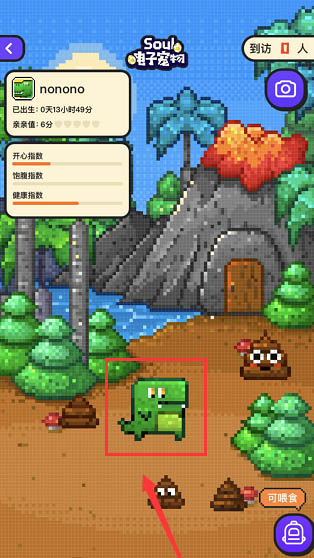 soul在哪里进入电子宠物功能 soul养电子宠物方法教程一览