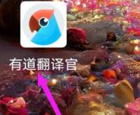 有道翻译官的语速怎么修改 有道翻译官的语速修改方法介绍