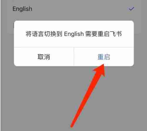 飞书在哪切换语言 飞书切换语言步骤介绍