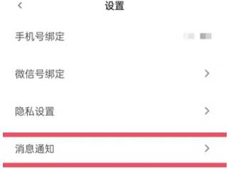 青藤之恋怎么开启动态消息 青藤之恋开启动态消息方法分享