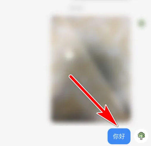 小红书怎么撤回消息 小红书撤回消息步骤一览