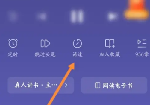 番茄短剧怎么设置语速 番茄短剧设置播放语速方法分享