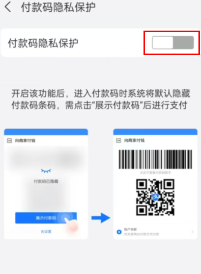 支付宝怎么隐藏付款码 支付宝APP开启付款码隐藏保护功能教程一览