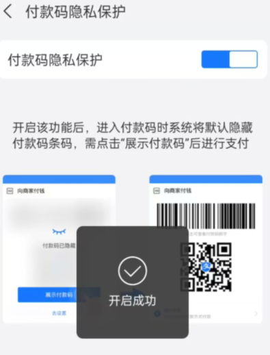 支付宝怎么隐藏付款码 支付宝APP开启付款码隐藏保护功能教程一览