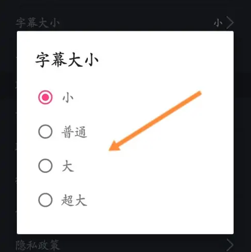 万能播放器怎么修改字幕大小 万能播放器修改字幕大小操作介绍