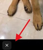 抖音怎么清屏 抖音开启清屏模式教程分享