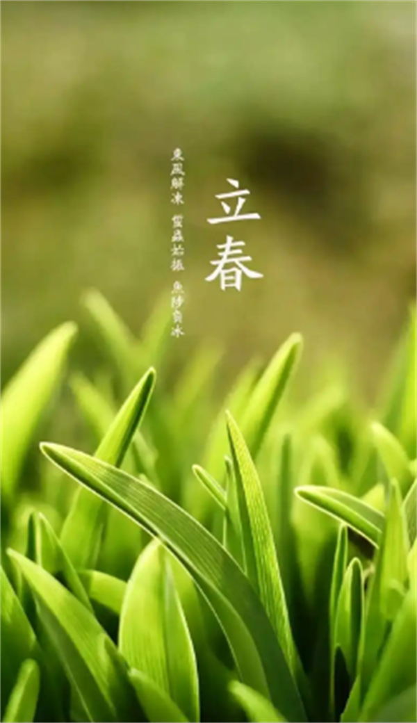 蚂蚁庄园2月3日今日答案2025